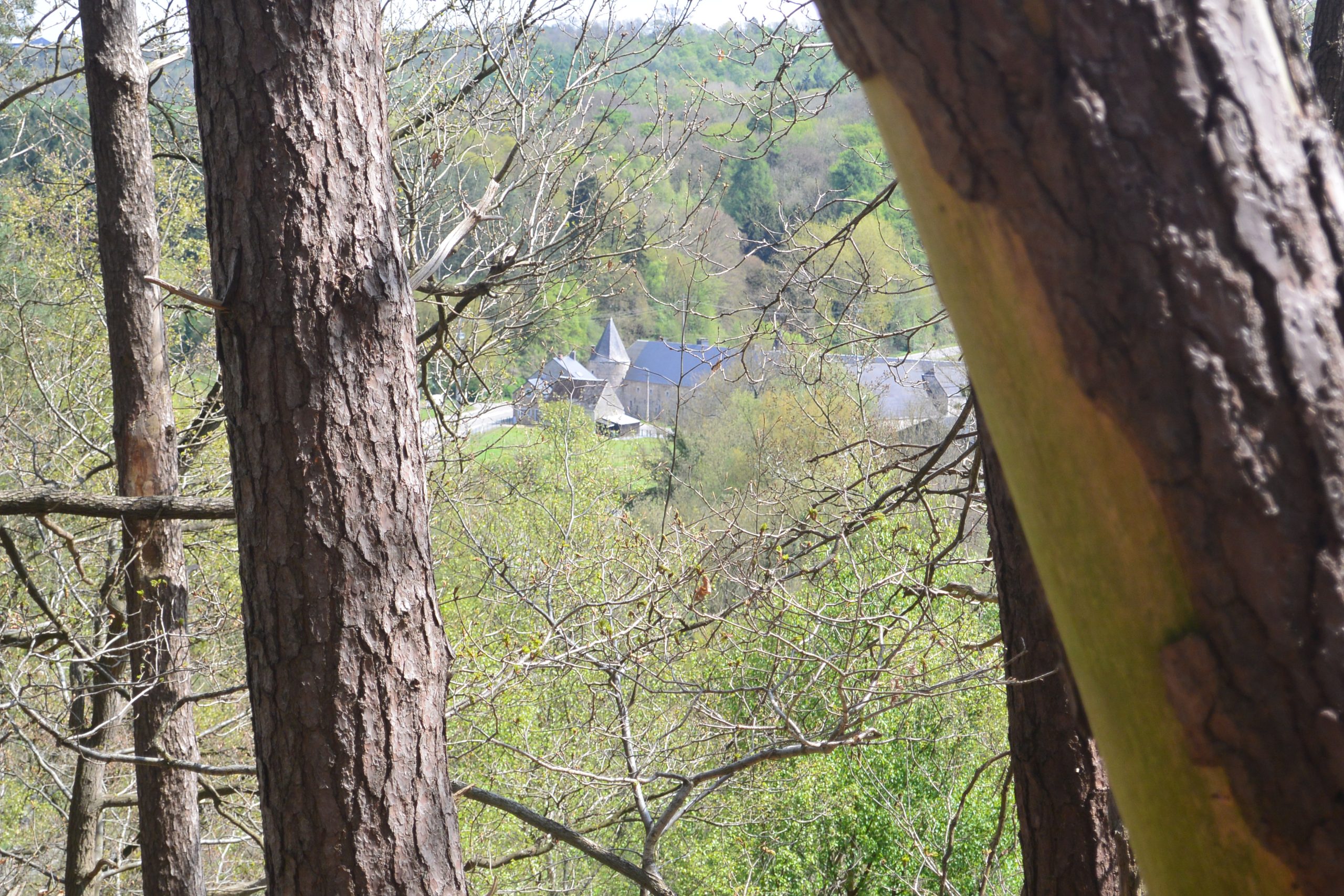 Balade des cathédrales – mai17 – SIVH (20)