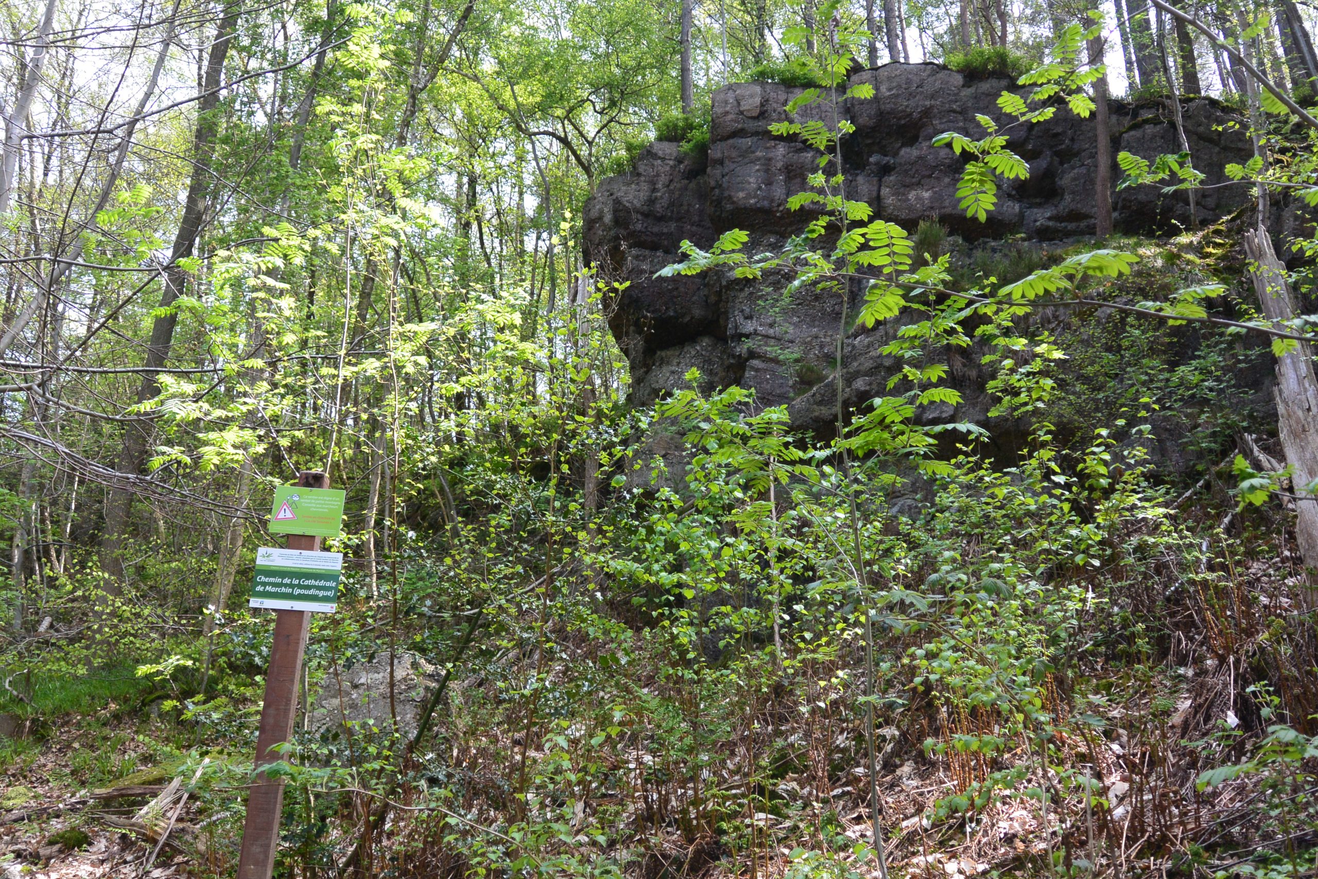 Balade des cathédrales – mai17 – SIVH (6)