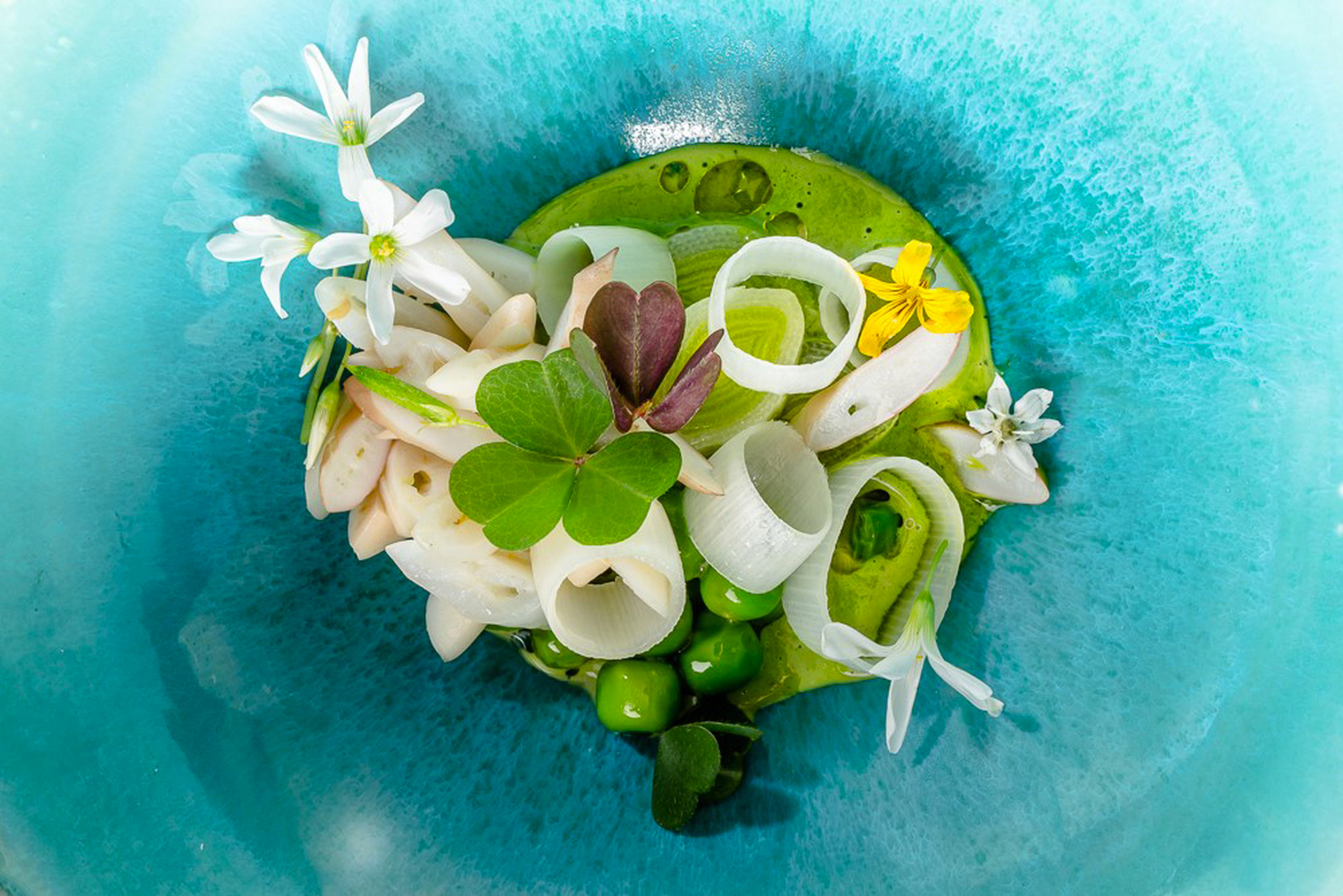 assiette_legumes_vert_arabelle-1700×1000-1