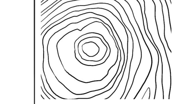 logo structura – Structura Bois