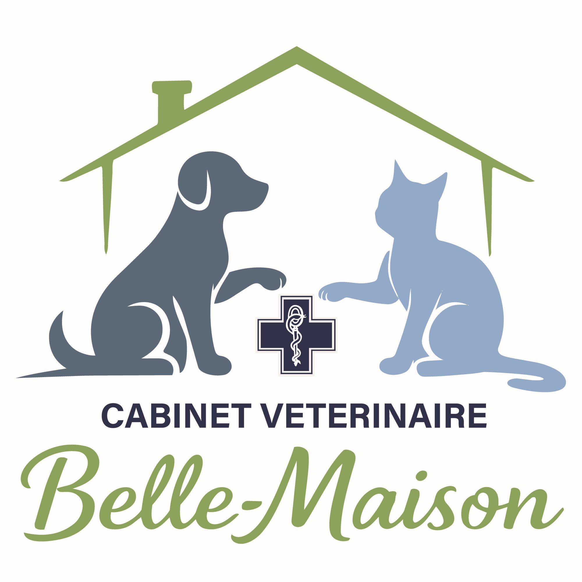 LOGO_Valide