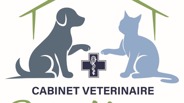 LOGO_Valide