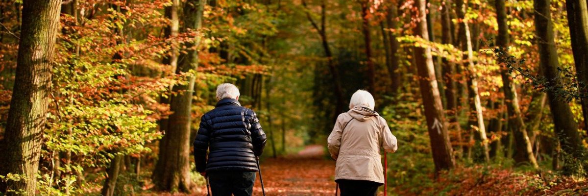 elderly people, couple, fall-5775209.jpg